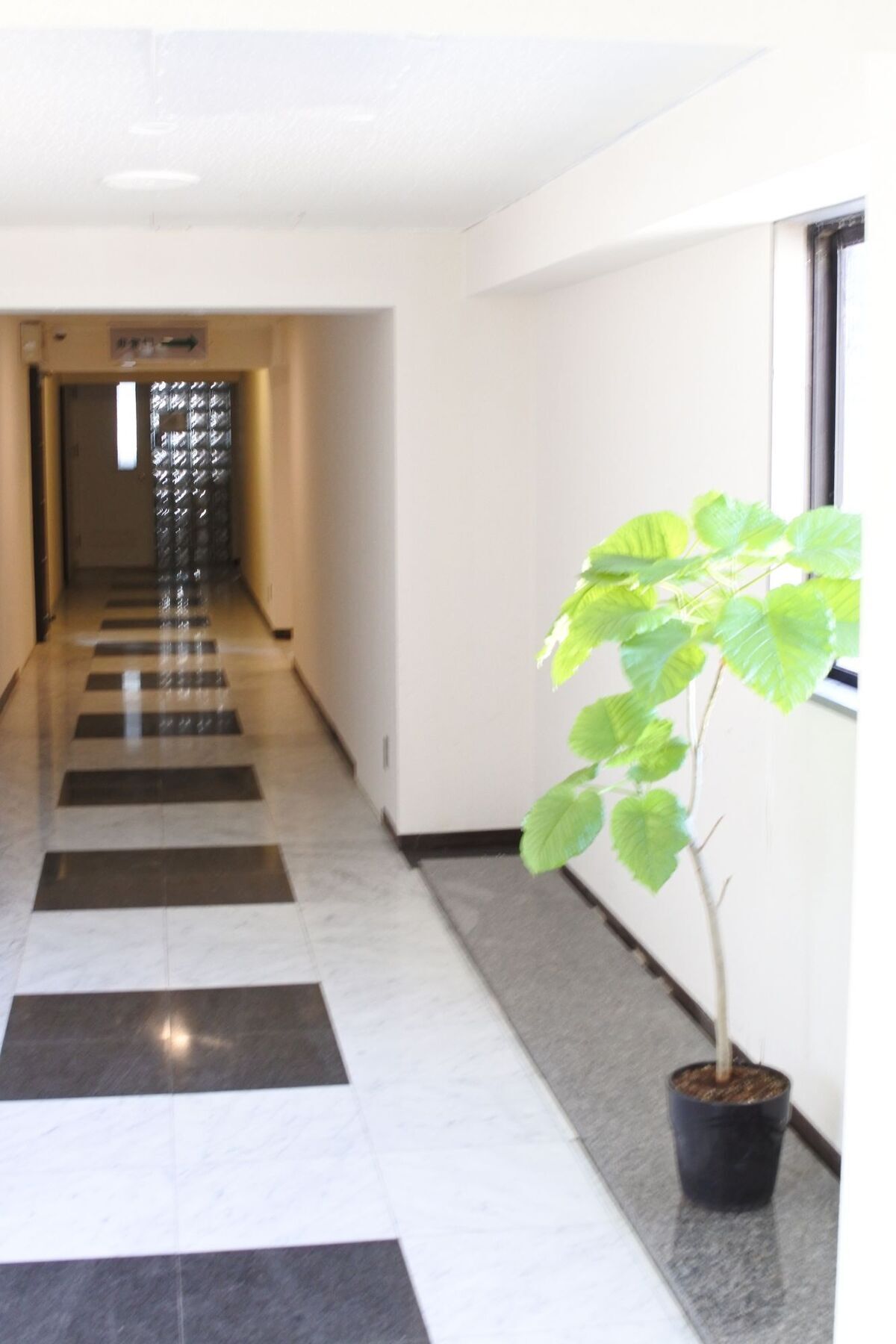 Kagoshima Guest House M104 - Hostel Exteriér fotografie